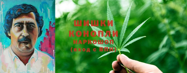 крисы Новодвинск