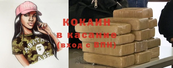 крисы Новодвинск