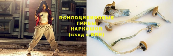 альфа пвп Новокубанск