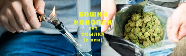 мяу мяу мука Новозыбков