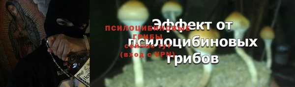 мяу мяу мука Новозыбков