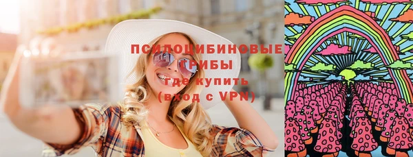 крисы Новодвинск