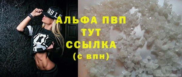 крисы Новодвинск