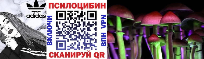 как найти закладки  Опочка  площадка наркотические препараты  Галлюциногенные грибы MAGIC MUSHROOMS 