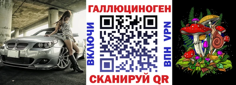 Псилоцибиновые грибы Psilocybe Опочка